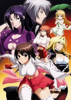 Sekirei: Pure Engagement 
