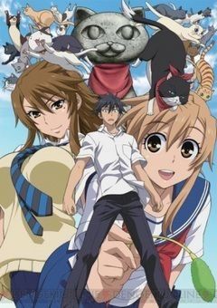 Nyan Koi 