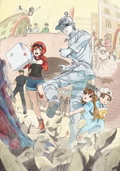 Cells at Work!