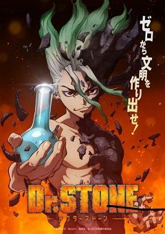 Dr. Stone