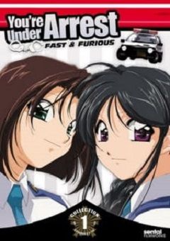 You're Under Arrest: Second Season 