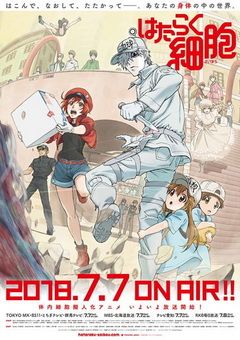 Cells at Work!