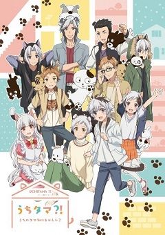 Uchi Tama?! Uchi no Tama Shirimasen ka? 