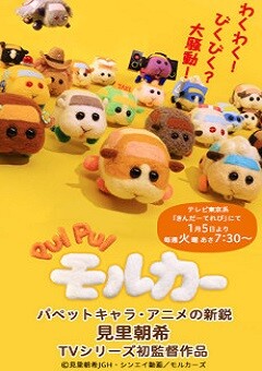 Pui Pui Molcar 