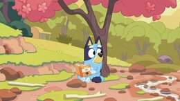 Bluey