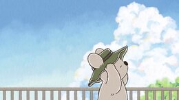 Koala's Diary