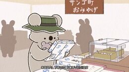 Koala's Diary