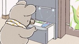 Koala's Diary