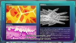Magical Girl Lyrical Nanoha EXCEEDS Gun Blaze Vengeance