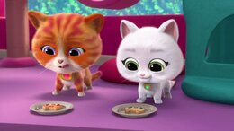 Super Kitties