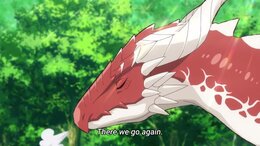 The Cat and the Dragon