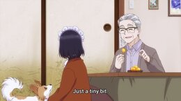 The Food Diary of Miss Maid