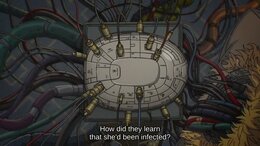 The Ghost in the Shell